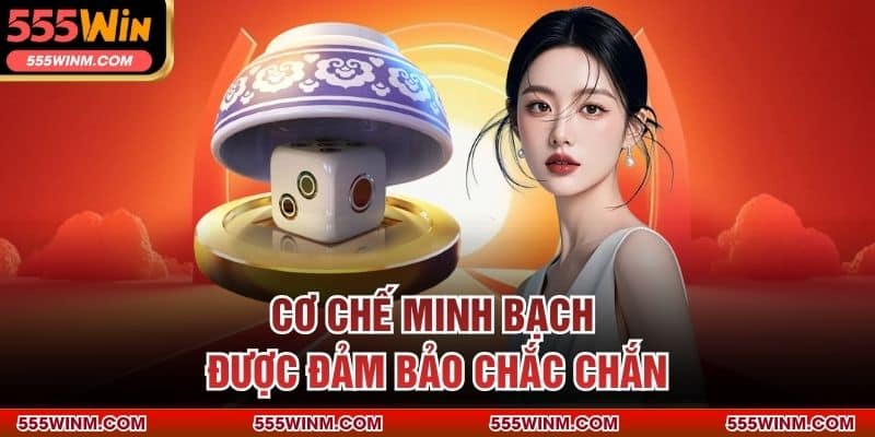 Cơ chế minh bạch được đảm bảo chắc chắn