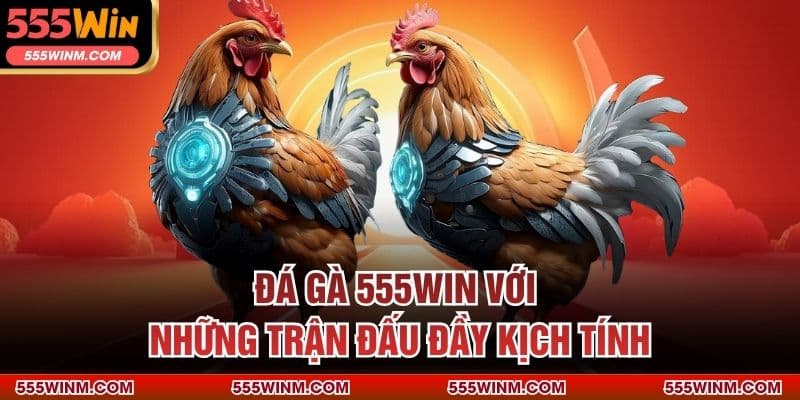 Đá Gà 555WIN với những trận đấu đầy kịch tính