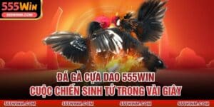 Đá Gà Cựa Dao 555win – Cuộc Chiến Sinh Tử Trong Vài Giây