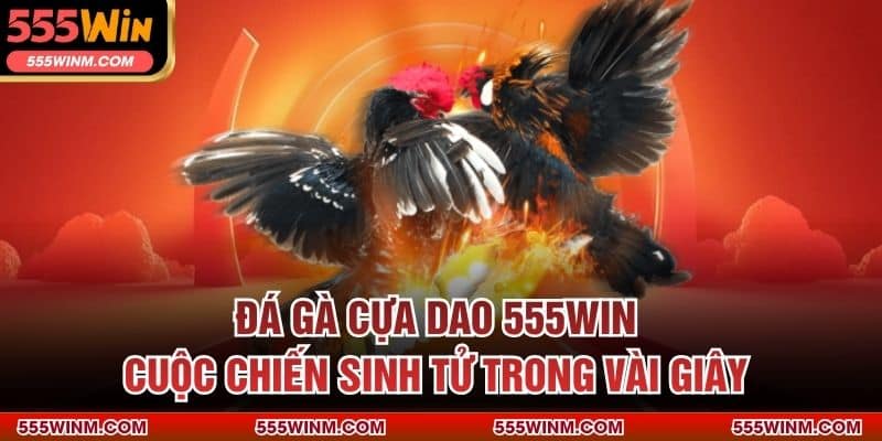 Đá Gà Cựa Dao 555win – Cuộc Chiến Sinh Tử Trong Vài Giây