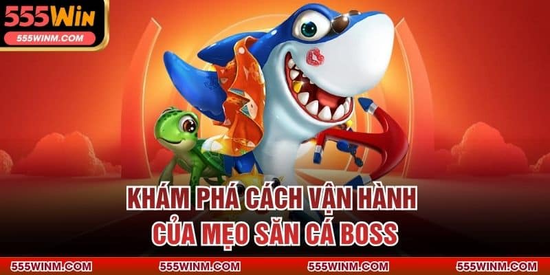 Khám phá cách vận hành của mẹo săn cá boss