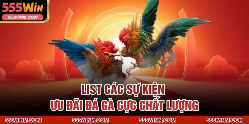 List các sự kiện ưu đãi đá gà cực chất lượng