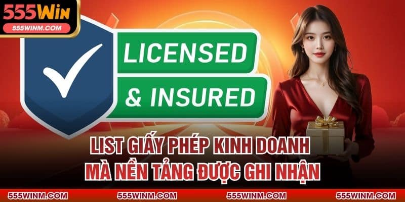 List giấy phép kinh doanh mà nền tảng được ghi nhận