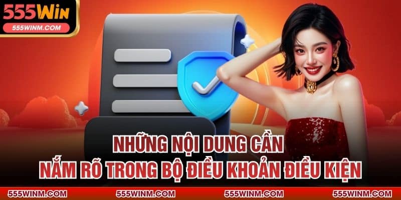 Những nội dung cần nắm rõ trong bộ điều khoản điều kiện