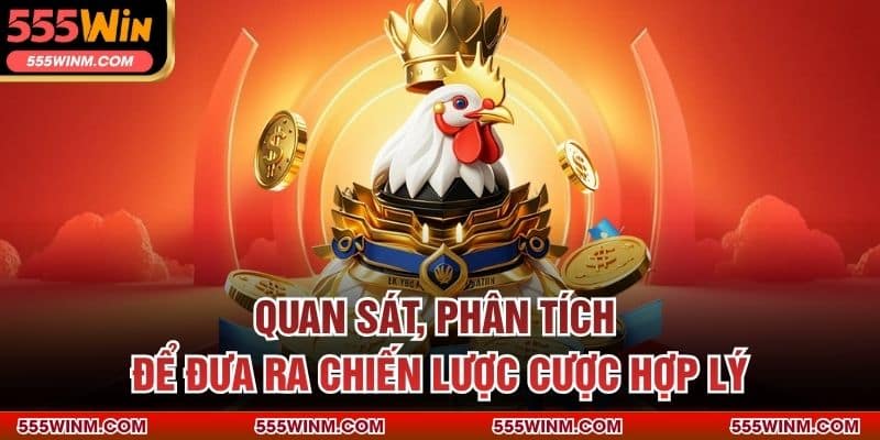 Quan sát, phân tích để đưa ra chiến lược cược hợp lý