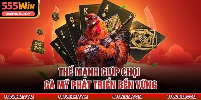 Thế mạnh giúp chọi gà Mỹ phát triển bền vững
